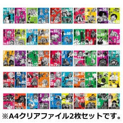 Ranking - Folder - One Piece - Tomes
