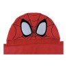 Blanket - Spider-Man - Spider-Man