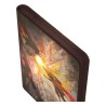 Portfolio - Magic The Gathering - Saison des Braves