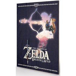 Canvas - Zelda - Silhouette