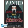 Poster - Set of 2 - One Piece - Wanted Brook & Franky