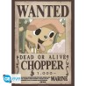 Poster - Pack de 2 - One Piece - Wanted Chopper & Usopp