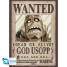 Poster - Pack de 2 - One Piece - Wanted Chopper & Usopp