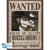 Poster - Pack de 2 - One Piece - Wanted Mihawk & Crocodile