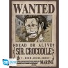 Poster - Pack de 2 - One Piece - Wanted Mihawk & Crocodile