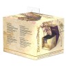 Boîte pour cartes - Magic The Gathering - SideWinder 100+ - Vipère Putregueule