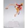 Accessoires Figurines - S.H.Figuart - One Piece - Monkey D. Luffy