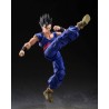 Action Figure - S.H.Figuart - Dragon Ball - Son Gohan