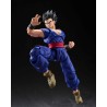Action Figure - S.H.Figuart - Dragon Ball - Son Gohan