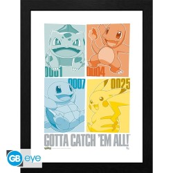 Cadre - Pokemon - Pikachu & Kanto Starters