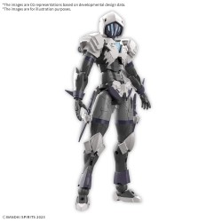 Model - 30 Minutes Fantasy - Rosan Assassin