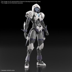 Model - 30 Minutes Fantasy - Rosan Assassin