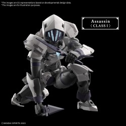 Model - 30 Minutes Fantasy - Rosan Assassin