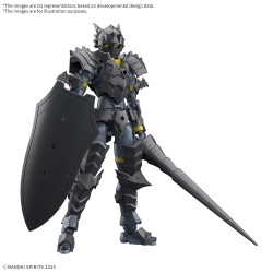 Model - 30 Minutes Fantasy - Rosan Lancer