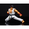 Action Figure - Street Fighter - Ryu
