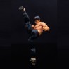 Action Figure - Street Fighter - Fei Long