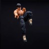 Action Figure - Street Fighter - Fei Long