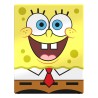 Deck Box - SpongeBob SquarePants - Boulder 100+ - SpongeBob SquarePants