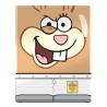 Deck Box - SpongeBob SquarePants - Boulder 100+ - Sandy Cheeks