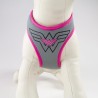 Harness - Wonder Woman - Logo