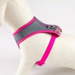 Harness - Wonder Woman - Logo