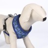Harness - Lilo & Stitch - Stitch