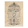 Poster - Set of 2 - Harry Potter - Map & School List