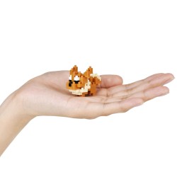 Building set - Pokemon - Normal Set