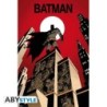 Poster - Roulé et filmé - Batman - Dark Knight