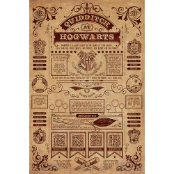 Poster - Harry Potter - Quidditch At Hogwarts