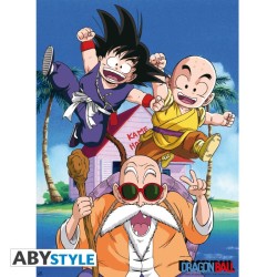 Poster - Flat - Dragon Ball - Kame Team