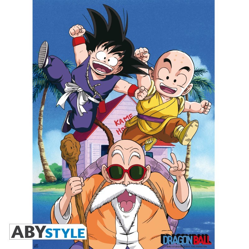 Poster - Flat - Dragon Ball - Kame Team