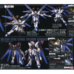 Maquette - High Grade - Gundam - Strike Freedom