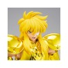 Action Figure - Myth Cloth EX - Saint Seiya - Aquarius Hyoga