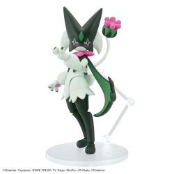 Maquette - Pokepla - Pokemon - Miascarade