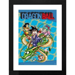 Cadre - Dragon Ball - Couverture