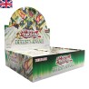 Trading Cards - Yu-Gi-Oh! - Duelist Advance Display