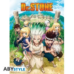 Poster - À plat - Dr. Stone - Groupe