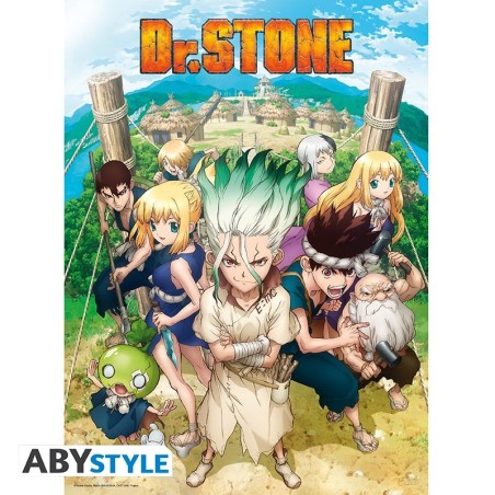 Poster - À plat - Dr. Stone - Groupe