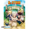 Poster - À plat - Dr. Stone - Groupe