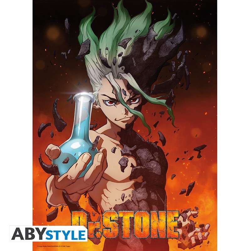Poster - Flat - Dr. Stone - Senku Ishigami