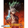 Poster - Flat - Dr. Stone - Senku Ishigami