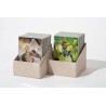 Deck Box