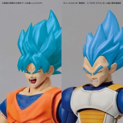 Model - Figure Rise - Dragon Ball - Super Saiyan Full Power - Broly