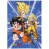 Curtains - Dragon Ball - Son Goku