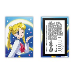 Magnet - Sailor Moon - Sailor Moon