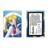 Aimant - Sailor Moon - Sailor Moon
