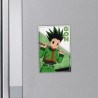 Magnet - Hunter X Hunter - Gon Freecs