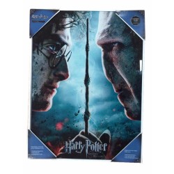 Frame  - Harry Potter - Deathly Hallows