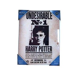 Frame  - Harry Potter - Wanted